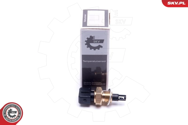 Sensor, intake air temperature